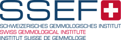 logo-ssef