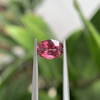 Natural Mahenge Spinel Gemstone: Pinkisk-Red Oval Cut, 1.56 ct Tanzania Origin